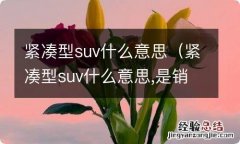 紧凑型suv什么意思,是销量好的意思吗 紧凑型suv什么意思