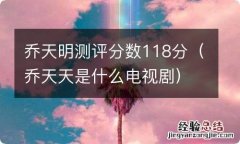 乔天天是什么电视剧 乔天明测评分数118分