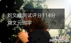 刘文成测试评分114分 刘文元测字