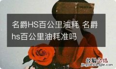 名爵HS百公里油耗 名爵hs百公里油耗准吗