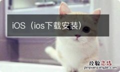 ios下载安装 iOS