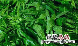 北方的菜心是什么菜 菜心在北方叫什么