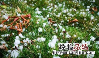 冰雹是什么意思 什么是冰雹