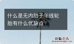 什么是无内胎子午线轮胎有什么优缺点