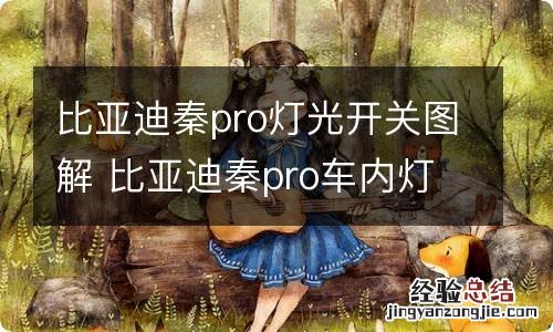 比亚迪秦pro灯光开关图解 比亚迪秦pro车内灯怎么开