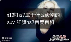 红旗hs7属于什么级别的suv 红旗hs7百度百科