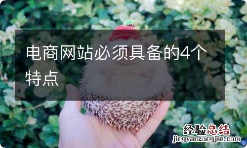 电商网站必须具备的4个特点