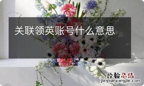 关联领英账号什么意思