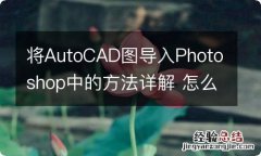 将AutoCAD图导入Photoshop中的方法详解 怎么将cad图导入ps