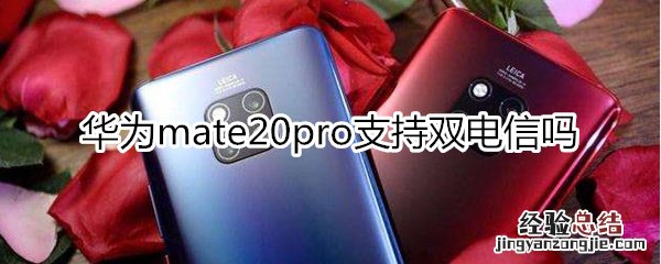 华为mate20pro支持双电信吗