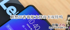 联想Z6青春版支持双卡双待吗