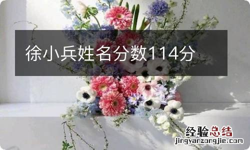 徐小兵姓名分数114分