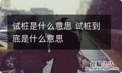 试桩是什么意思 试桩到底是什么意思