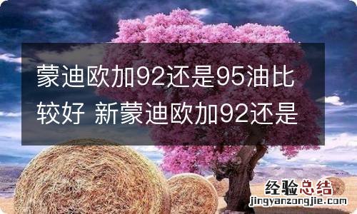 蒙迪欧加92还是95油比较好 新蒙迪欧加92还是95更省油