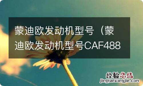 蒙迪欧发动机型号CAF488Q2点火线圈及高压包多少钱一个 蒙迪欧发动机型号