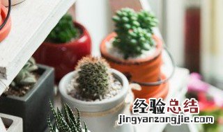 花器单位的定义是什么 花器单位指的是什么?