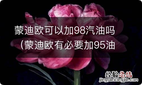 蒙迪欧有必要加95油么 蒙迪欧可以加98汽油吗