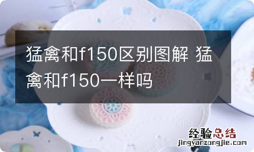 猛禽和f150区别图解 猛禽和f150一样吗