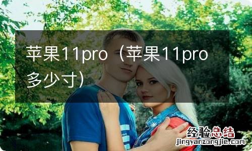 苹果11pro多少寸 苹果11pro