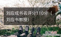 刘应书教授 刘应成书名评分110分