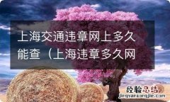 上海违章多久网上能查到 上海交通违章网上多久能查