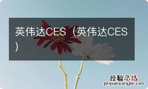 英伟达CES 英伟达CES