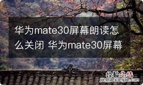 华为mate30屏幕朗读怎么关闭 华为mate30屏幕朗读怎样关闭