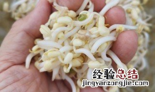 米醋快速生豆芽的方法 生豆芽简易新方法用醋