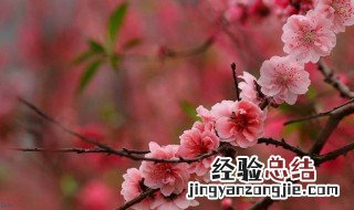 什么样的风水会影响你的桃花 什么风水旺桃花