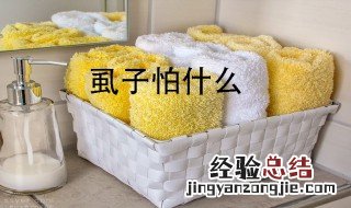 虱子怕什么 杀死虱子的方法 虱子怕什么