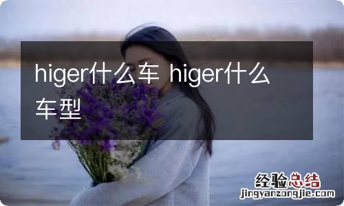 higer什么车 higer什么车型