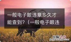 一般电子眼违章多久才能查到记录 一般电子眼违章多久才能查到?