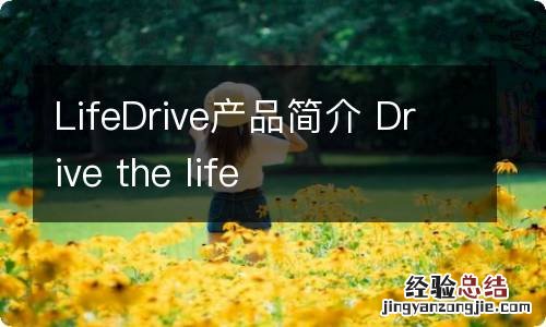 LifeDrive产品简介 Drive the life