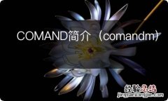 comandm COMAND简介