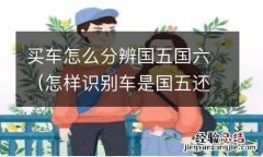 怎样识别车是国五还是国六 买车怎么分辨国五国六