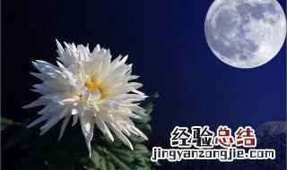 月移花影的意思 月移花影是什么意思