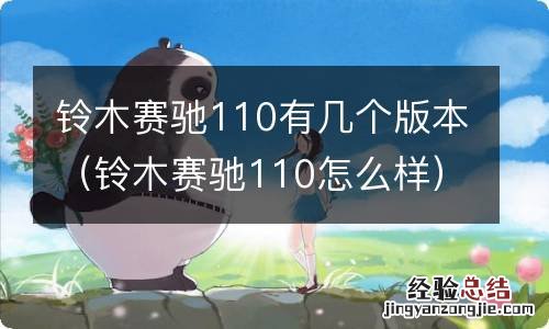 铃木赛驰110怎么样 铃木赛驰110有几个版本