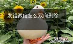 发错微信怎么双向删除