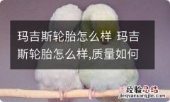 玛吉斯轮胎怎么样 玛吉斯轮胎怎么样,质量如何,有啥优点