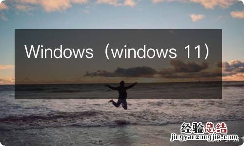 windows 11 Windows