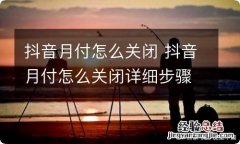 抖音月付怎么关闭 抖音月付怎么关闭详细步骤