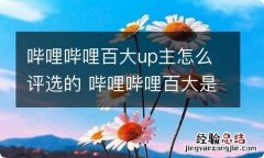 哔哩哔哩百大up主怎么评选的 哔哩哔哩百大是怎么评的