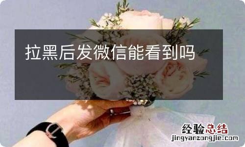 拉黑后发微信能看到吗