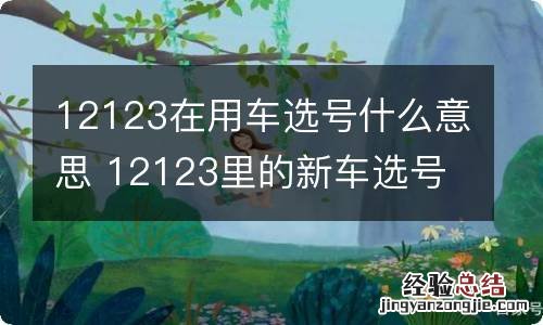 12123在用车选号什么意思 12123里的新车选号是干嘛用的