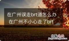 在广州误走brt道怎么办 在广州不小心走了brt车道