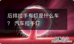 后排拉手有灯是什么车？ 汽车拉手灯