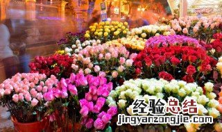 粉红玫瑰代表什么象征意义 粉红玫瑰代表什么