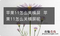 苹果11怎么关横屏苹果11怎么关横屏呢