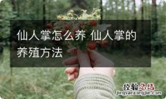 仙人掌怎么养 仙人掌的养殖方法