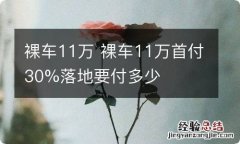 裸车11万 裸车11万首付30%落地要付多少